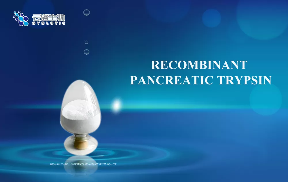 Bạn biết bao nhiêu về vai trò của enzyme đối với sức khỏe con người?