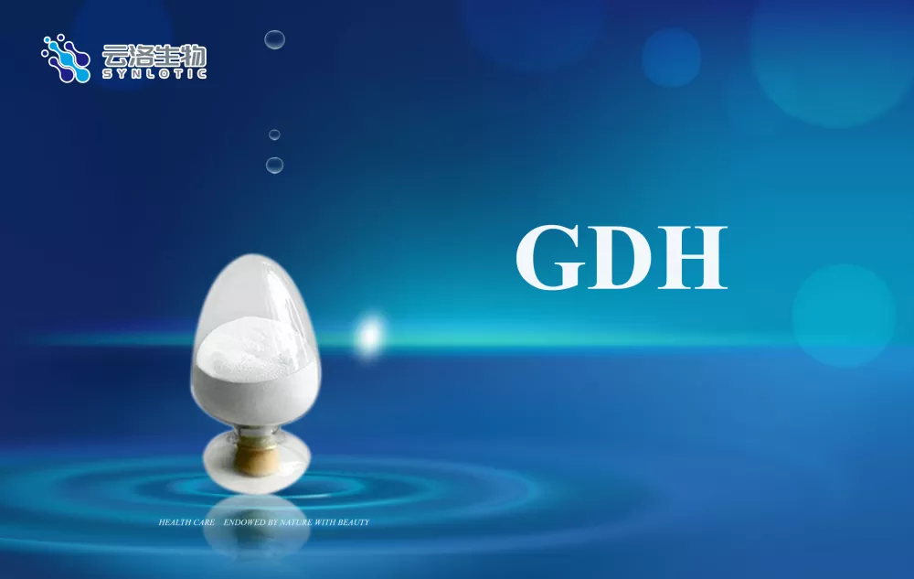 Các khái niệm cơ bản về enzyme là gì?